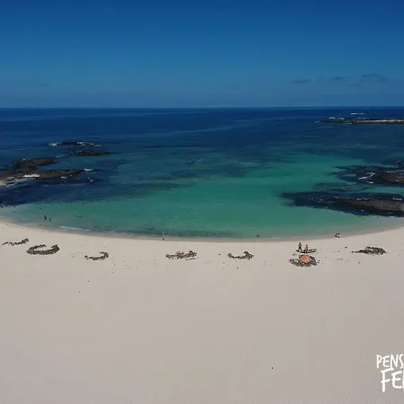 Rentalfue Pensamiento Feliz Cotillo